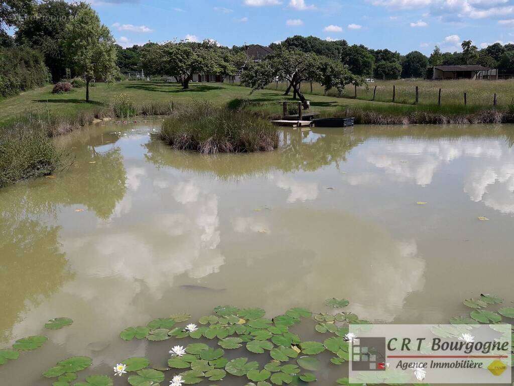 Maison à MOULINS-SUR-OUANNE