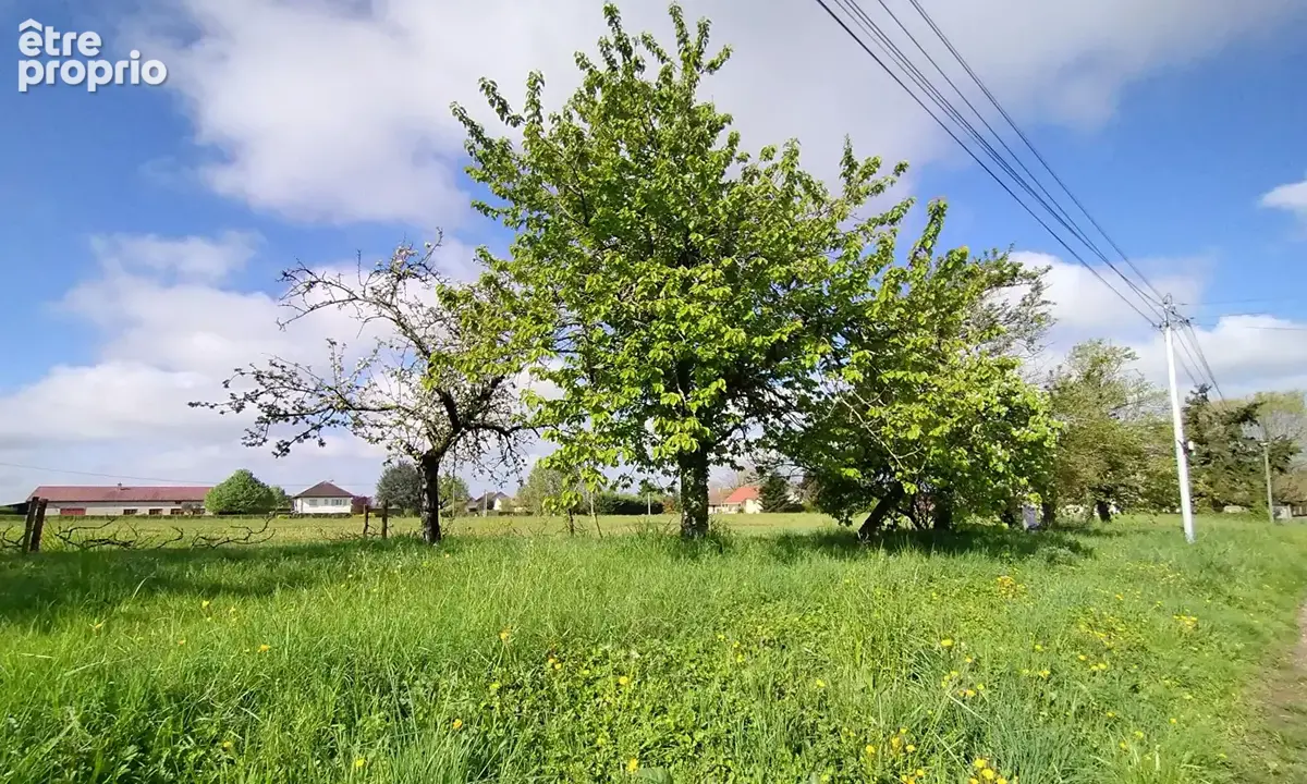 Terrain constructible avec arbres fruitiers 1147 m2 - 71620 St Maurice en Riviere - photo 3