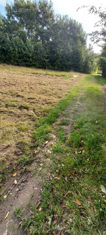 Terrain à GESPUNSART