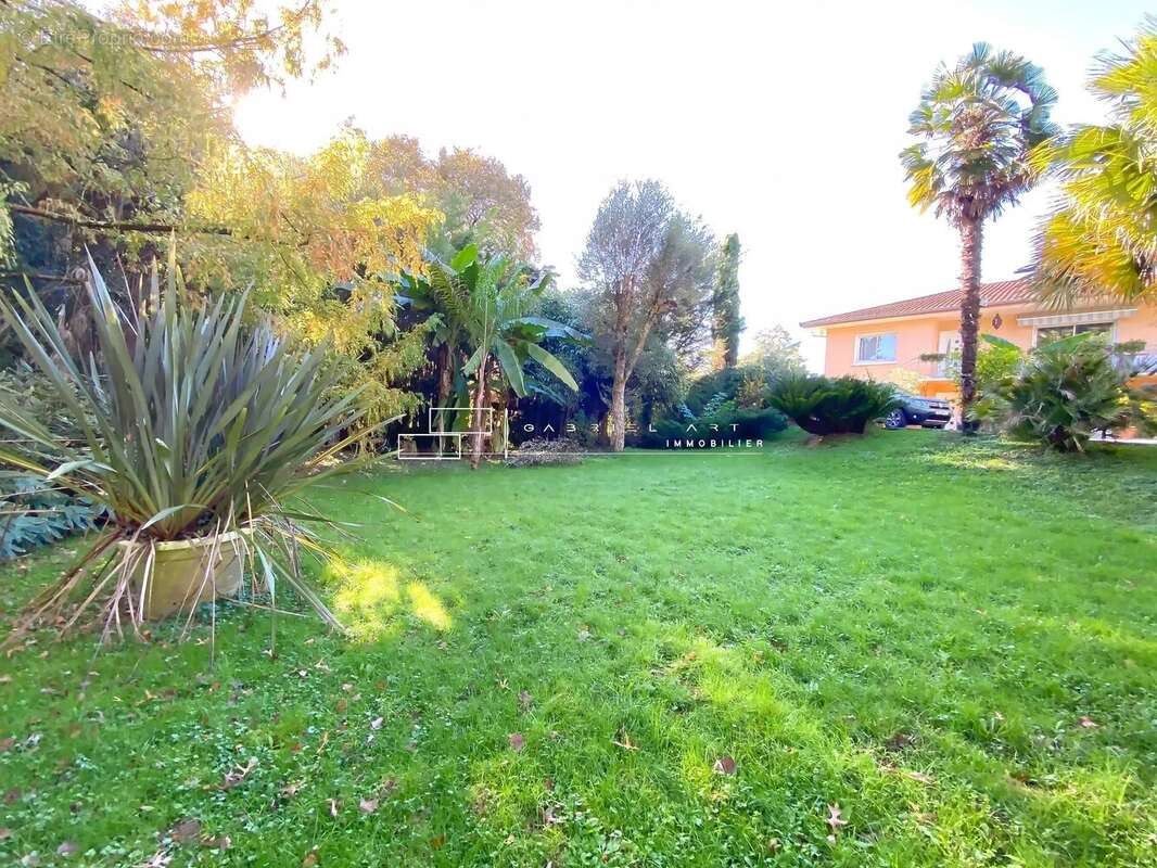 Maison à PEYREHORADE