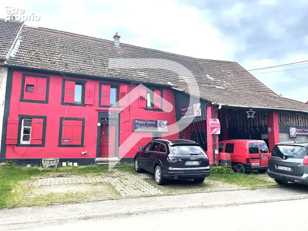 Maison Diedendorf 10 pièces 295 m² - photo 3