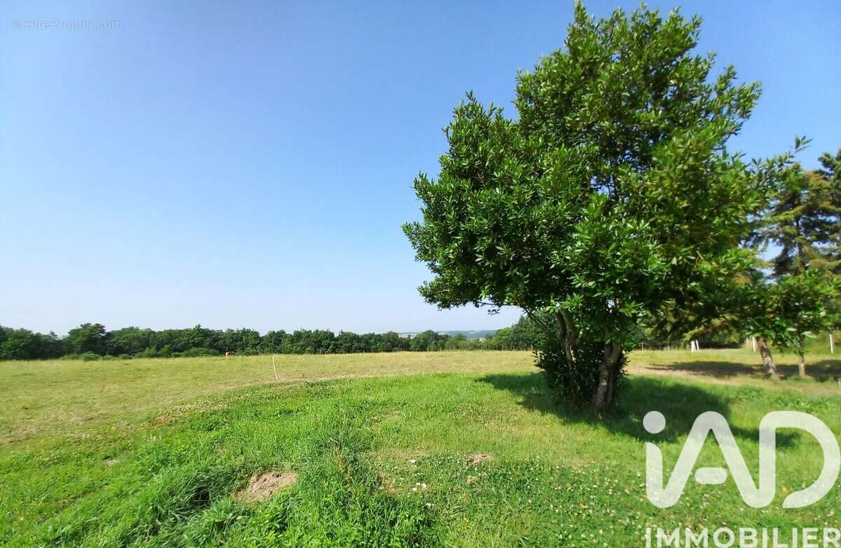 Maison 132 m² à Auvillar  - photo 6