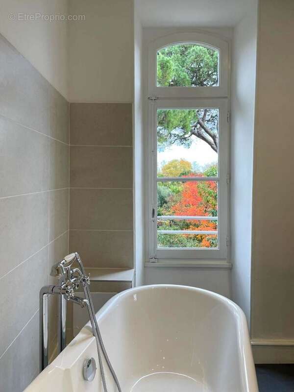 IMG20260210WA0039 - Maison à MIREPOIX