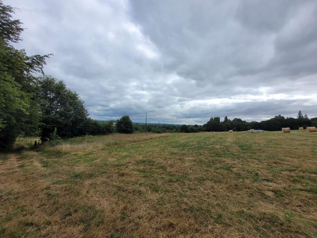Terrain 54896 m² à Moutiers-Au-Perche  - photo 4