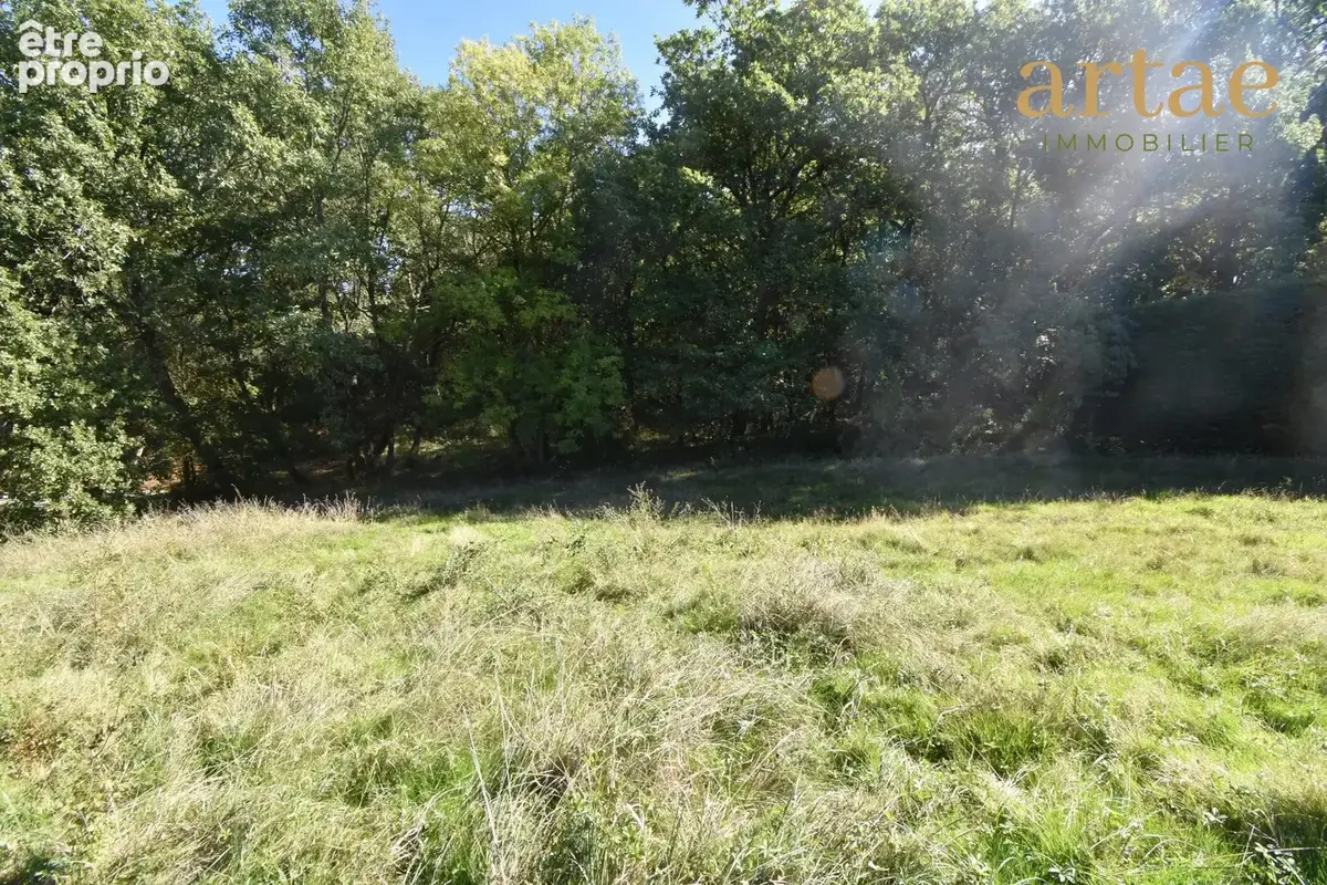 Terrain 1 097 m² à vendre à Saint-Lys (31470) - photo 4