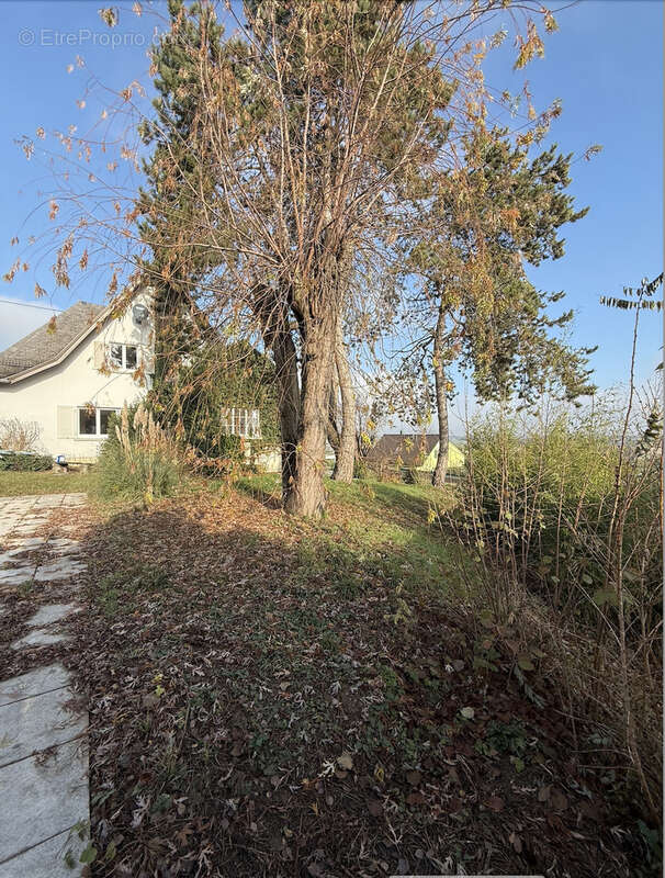 Maison à SCHLIERBACH