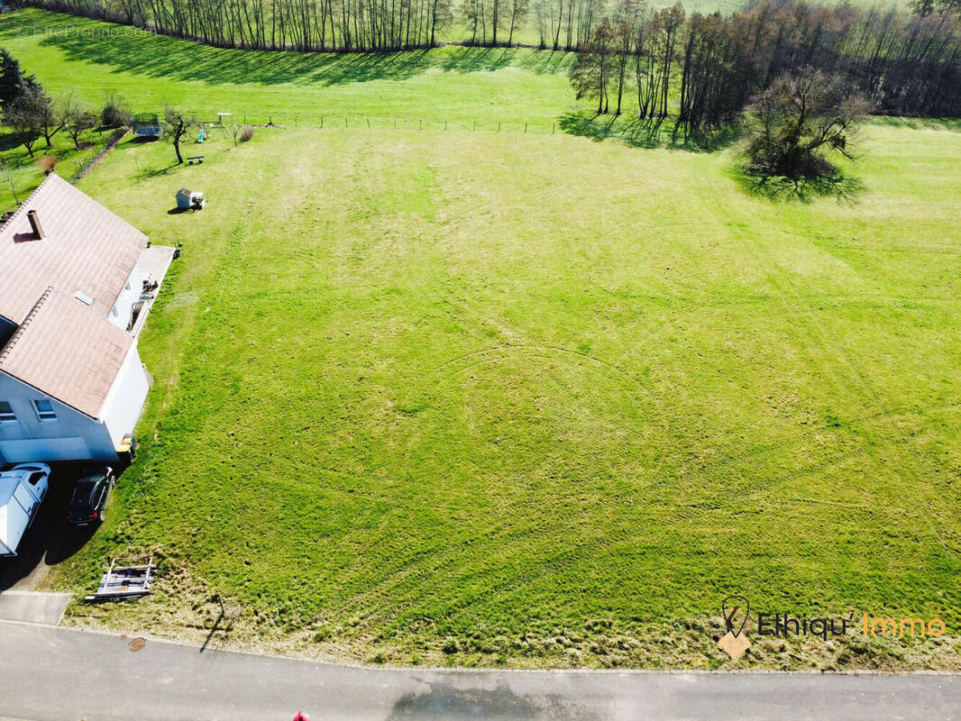 Terrain à BISCHHOLTZ