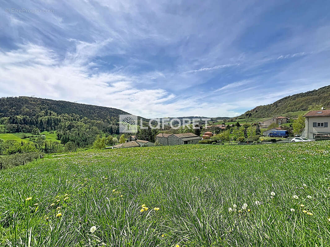 Terrain à POLIGNAC