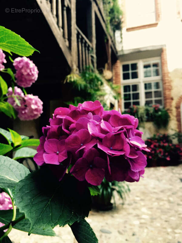 Appartement à MONTAUBAN