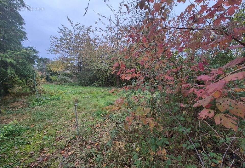 Terrain à LES ESSARTS-LE-ROI
