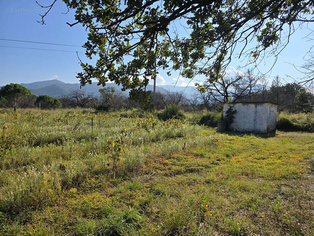Terrain à ARGELES-SUR-MER