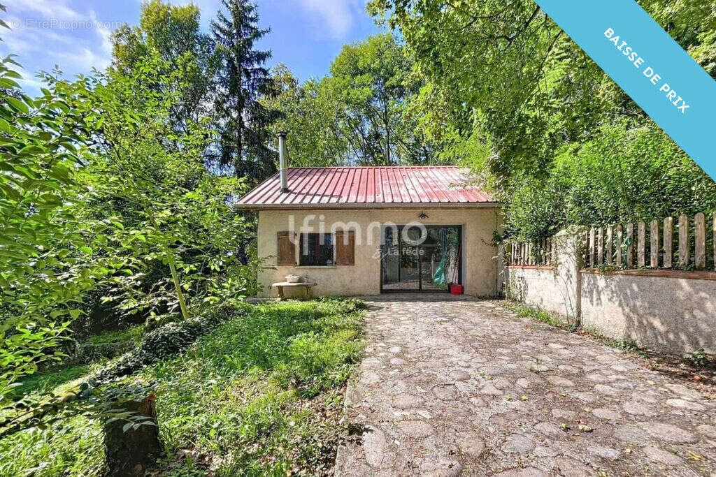 Double habitation avec vue Pyrénées, grand terrain - photo 17