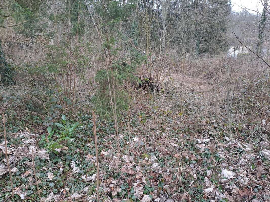 Photo 3 - Terrain à CATENOY