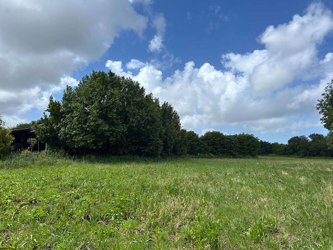 SAINT-VOUGAY - Maison de campagne - photo 10