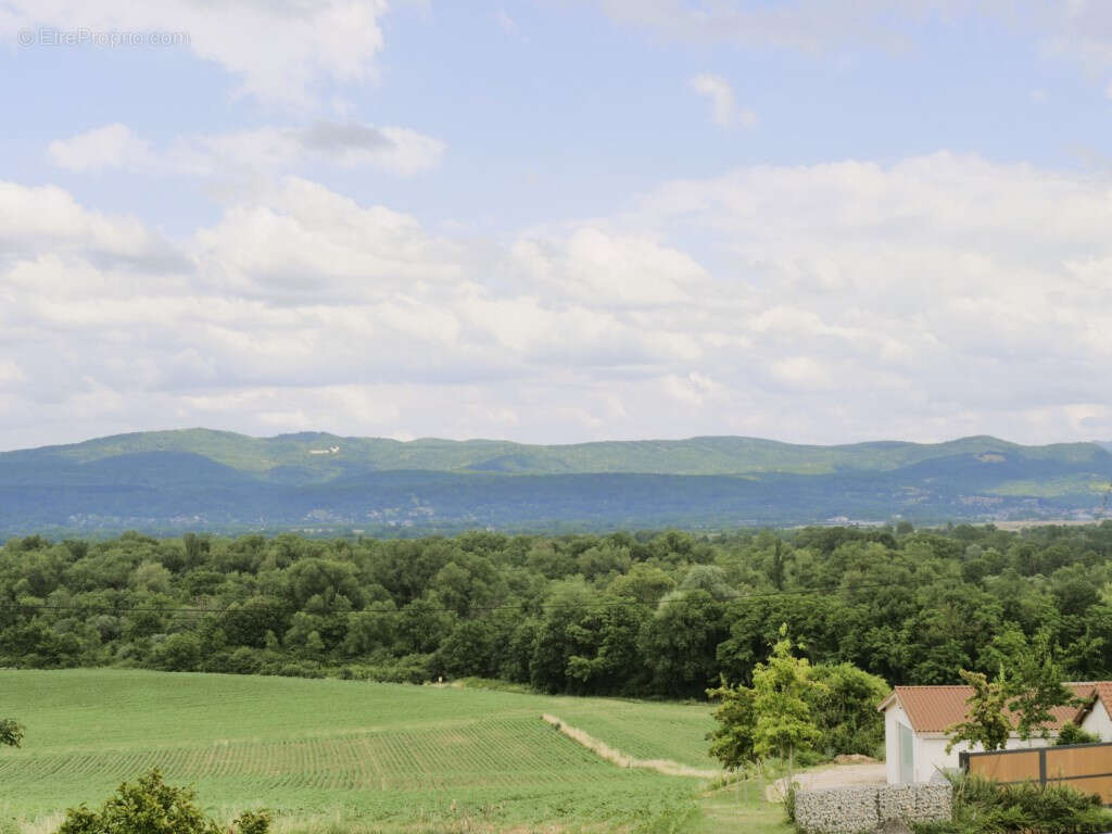01160 PRIAY : Magnifique Maison de Maître de Plus de 300 m2 avec Vue Imprenable - photo 5