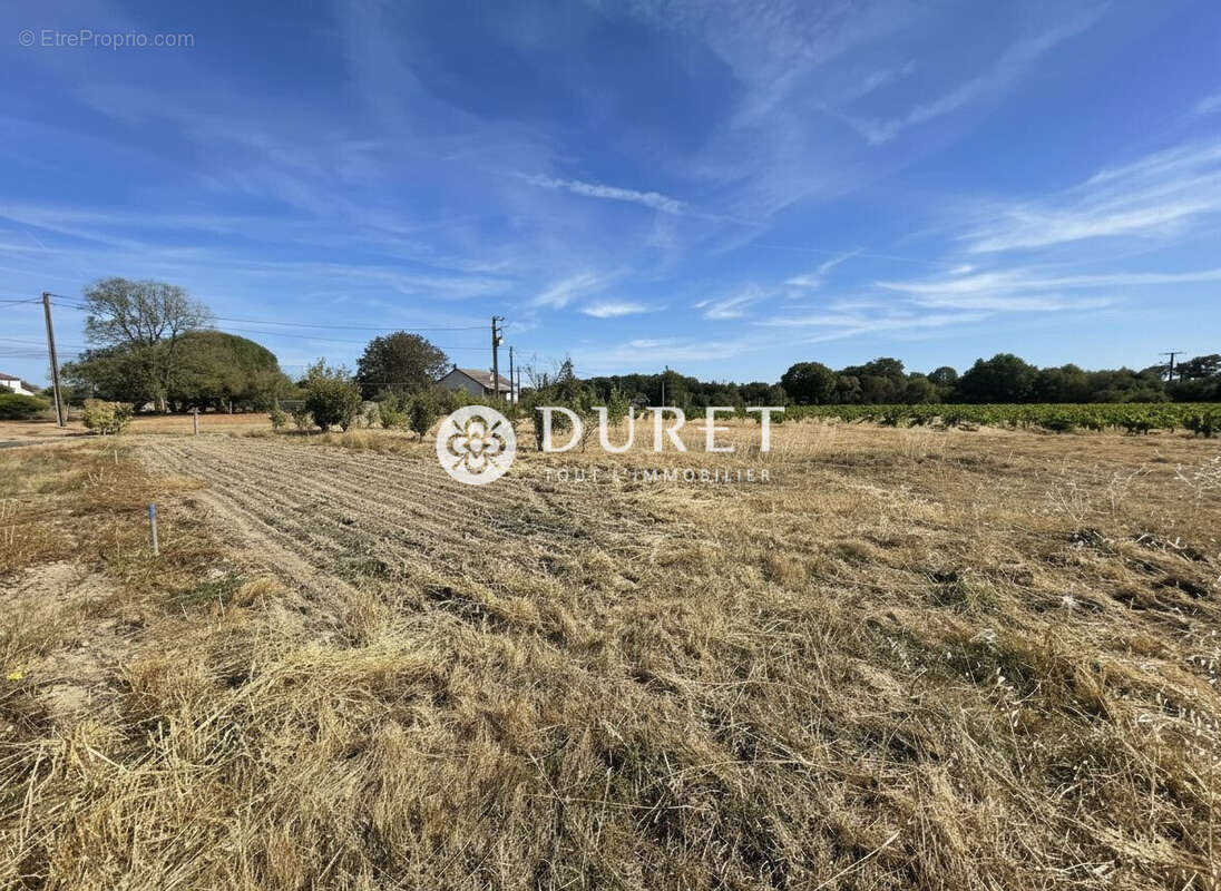 Terrain 500 m² à Maisdon-Sur-Sevre  - photo 2
