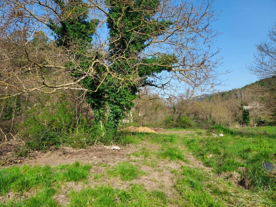 Terrain à BELGENTIER