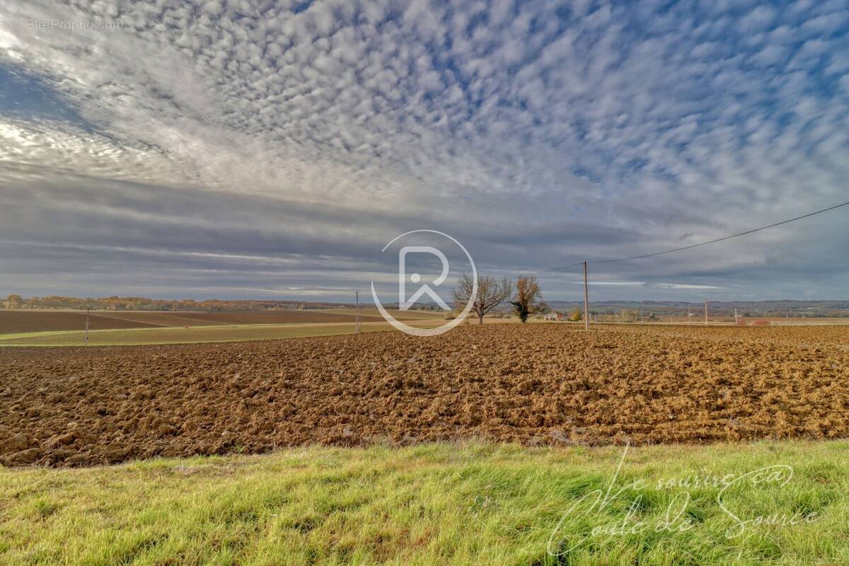 Terrain a batir lomagne - Terrain à FAUDOAS