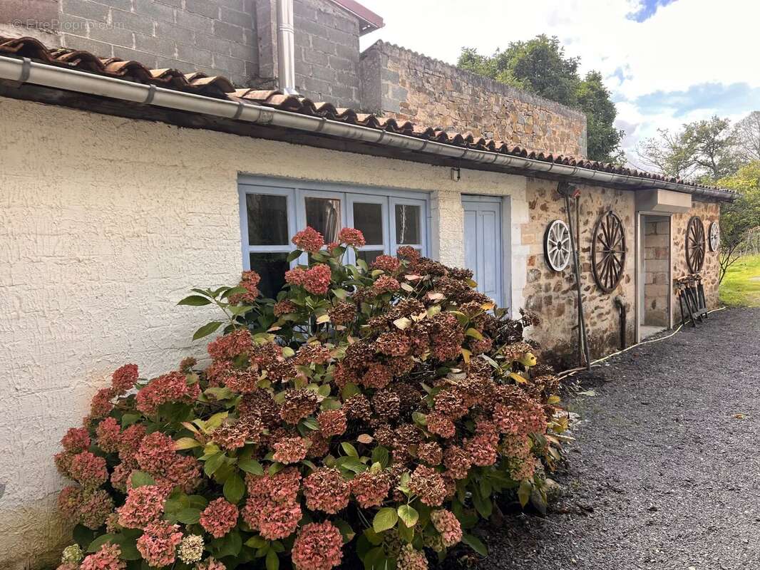 Maison à LA COQUILLE