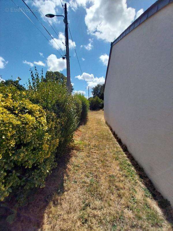 Charmante maison t3 nozay avec grand jardin - photo 4