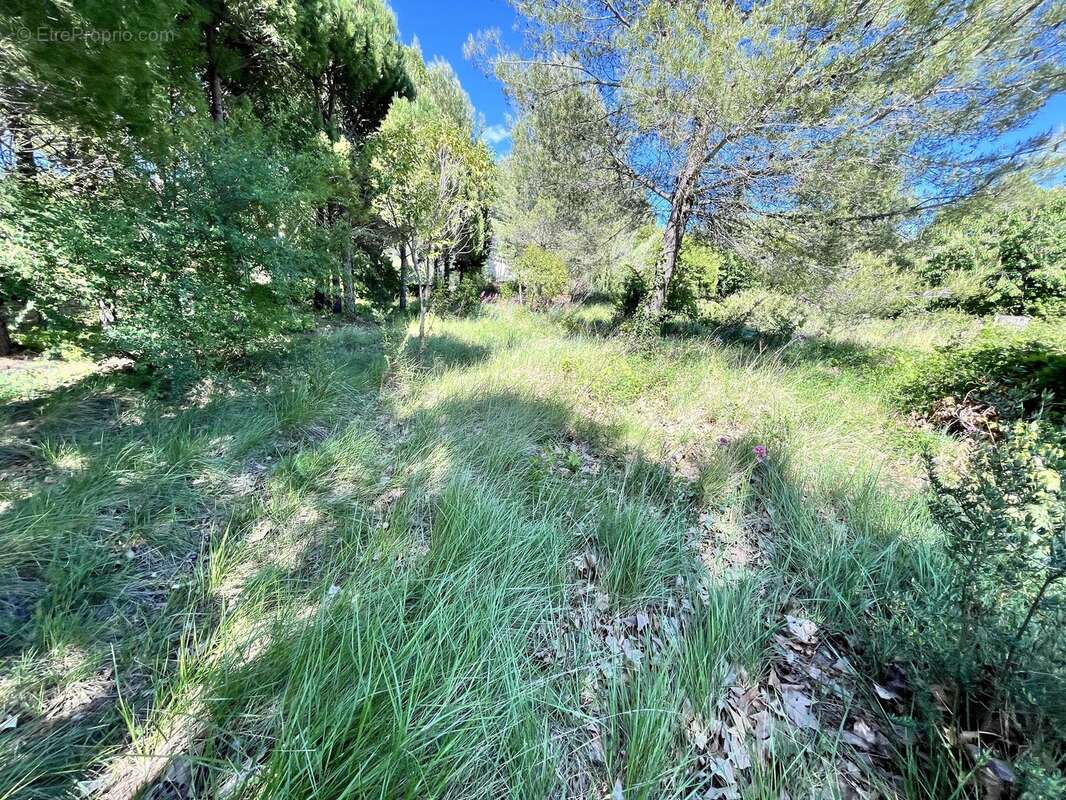 Puget-Ville – Terrain constructible de 1 030 m² avec fort potentiel - photo 4
