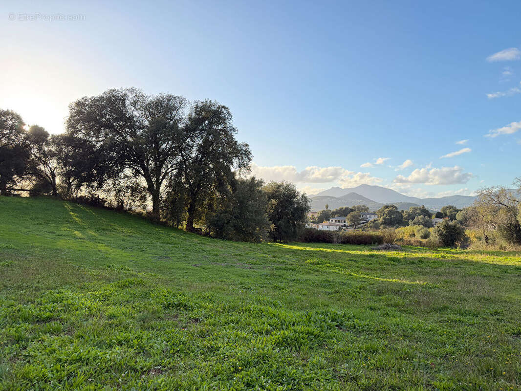 Terrain à BASTELICACCIA