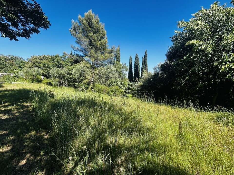 Terrain 550 m² à Draguignan  - photo 3