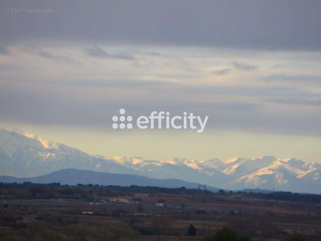 Maison à CASTELNAU-DE-GUERS