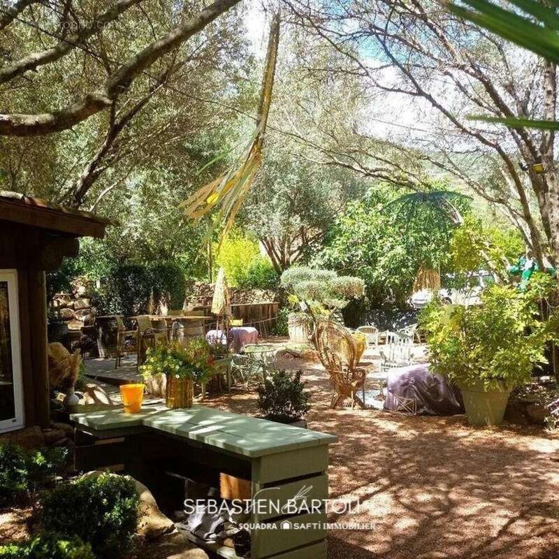 Photo 6 - Commerce à SAN-GAVINO-DI-CARBINI