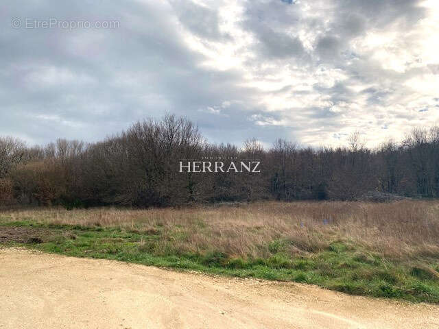 Terrain à LAGORCE