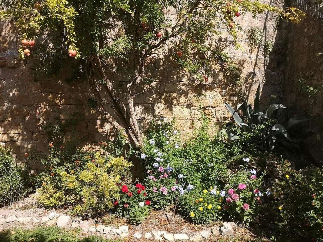 IMG20250917124324 - Maison à CASSAIGNE