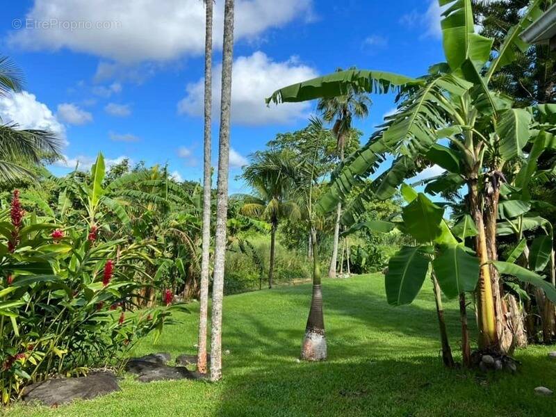 Maison à PETIT-BOURG
