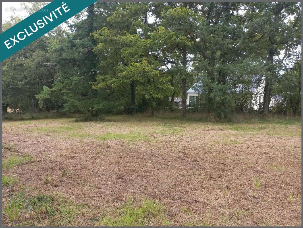 Photo 3 - Terrain à LA GRIGONNAIS