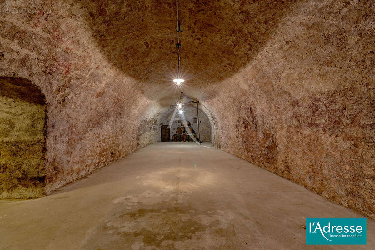 Hôtel particulier d'exception  - Au coeur de la Montagne de Reims - photo 18