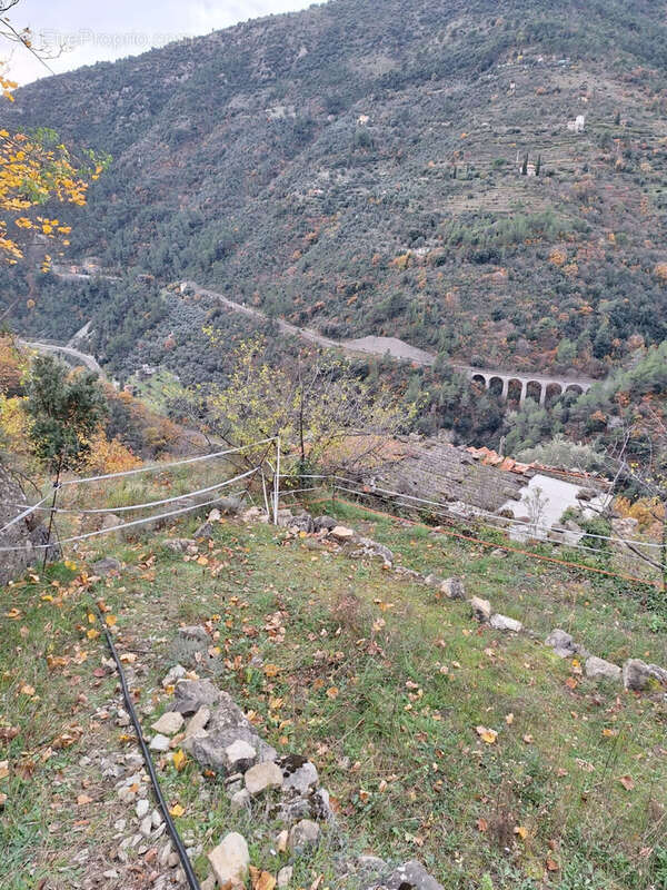 Maison à BREIL-SUR-ROYA
