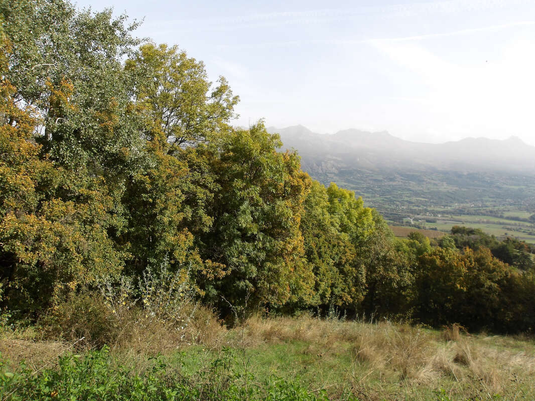 Nouveaute terrains avancon - photo 3