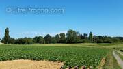 Terrain à BOULLAY-LES-TROUX
