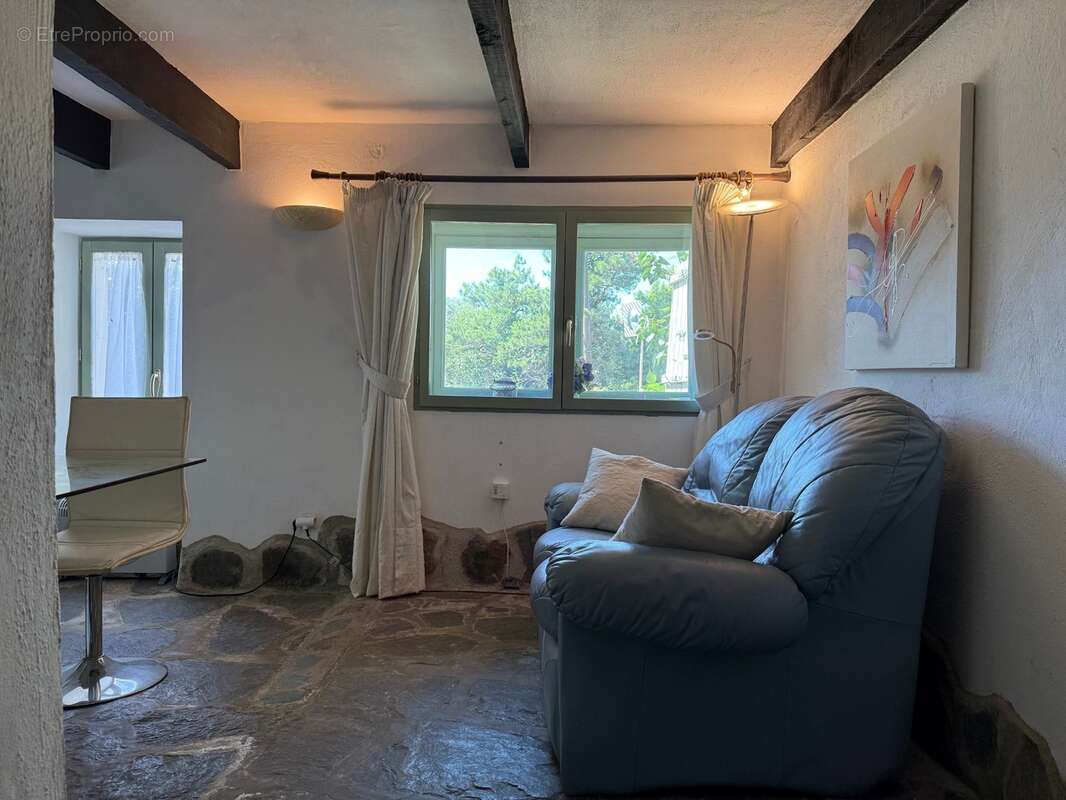 Maison de caractère en pierre avec piscine et sauna à la caunette - photo 13
