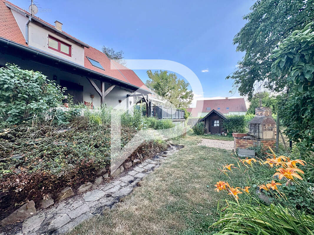 Maison à PFAFFENHEIM