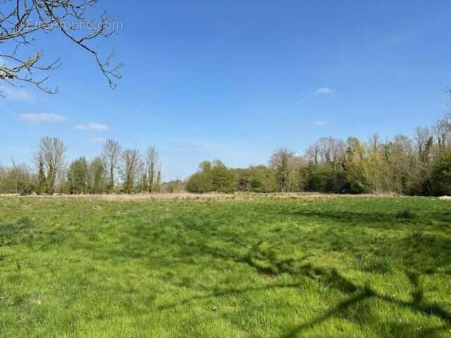 Maison 173 m² à Proville  - photo 5