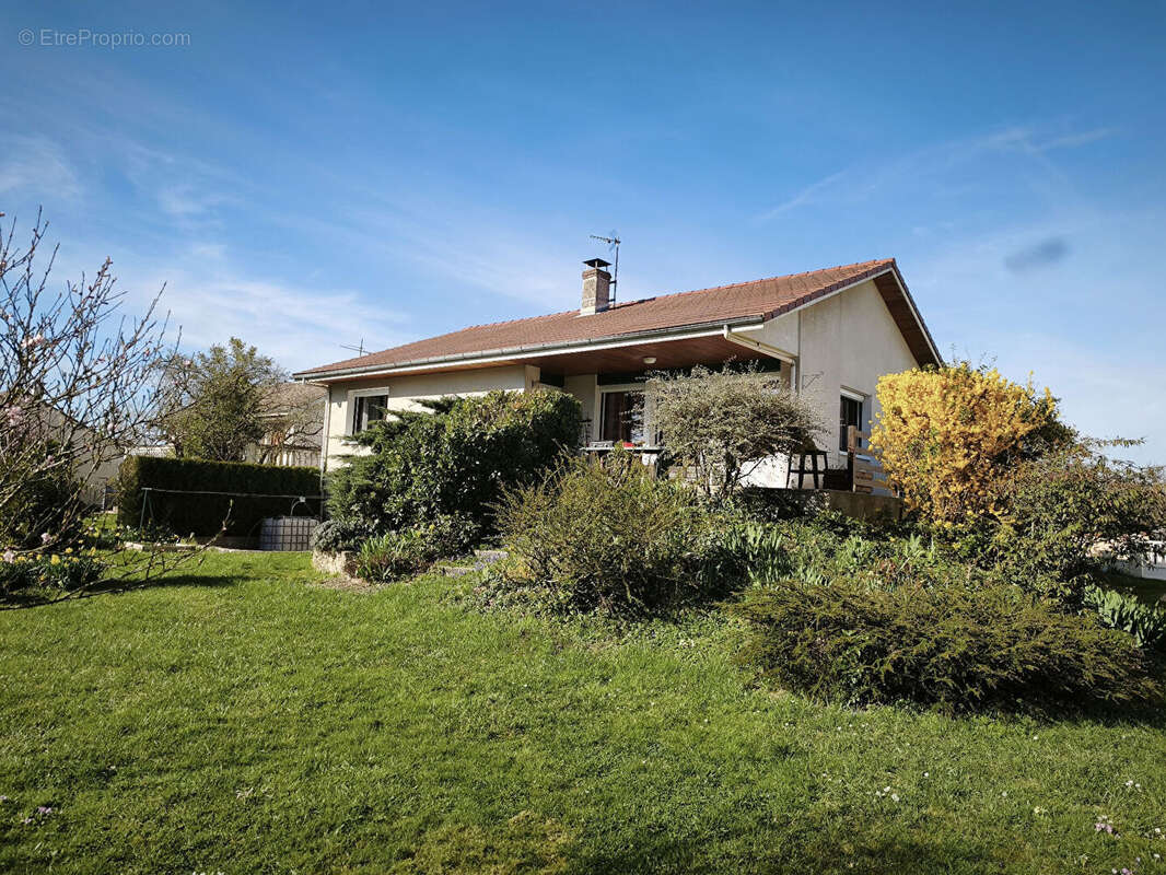 Maison à COUTERNON
