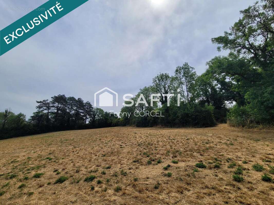 Terrain 12037 m² à Salives  - photo 4
