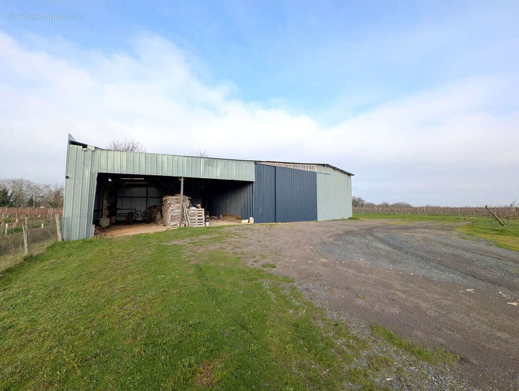 Maison à MONTREUIL-BELLAY