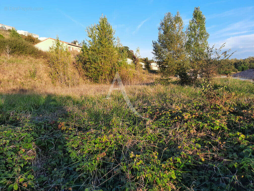 Terrain à batir sur la commune de Monclar De Quercy ! - photo 4