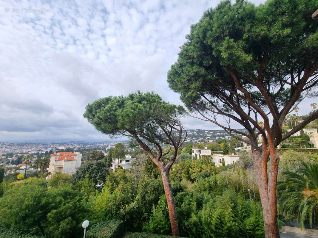 Cannes basse californie t3/t4 de 94m2 terrasses sud 40m2 garage cave - photo 7
