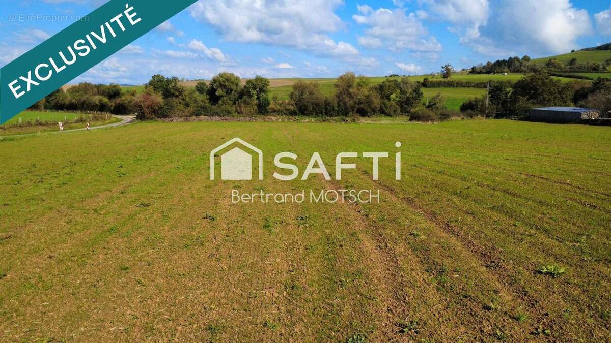 Photo 5 - Terrain à SAINT-PANCRE