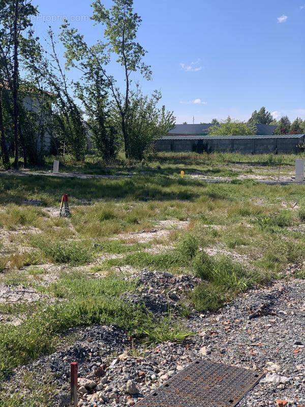 Terrain à BELIN-BELIET