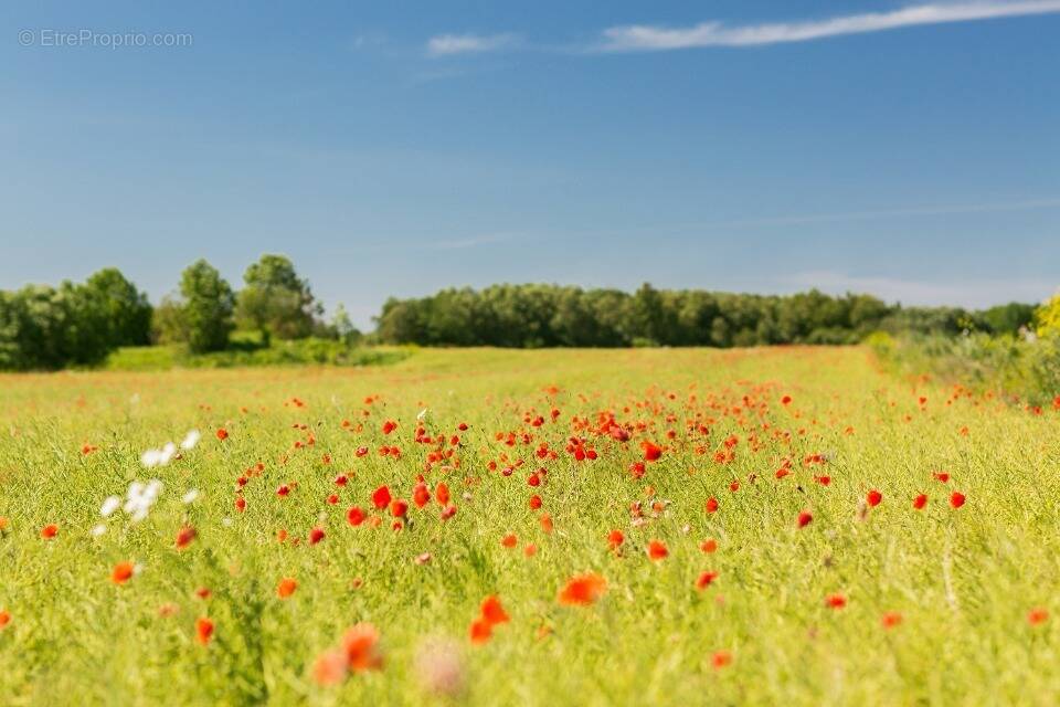 Terrain à CISSAC-MEDOC