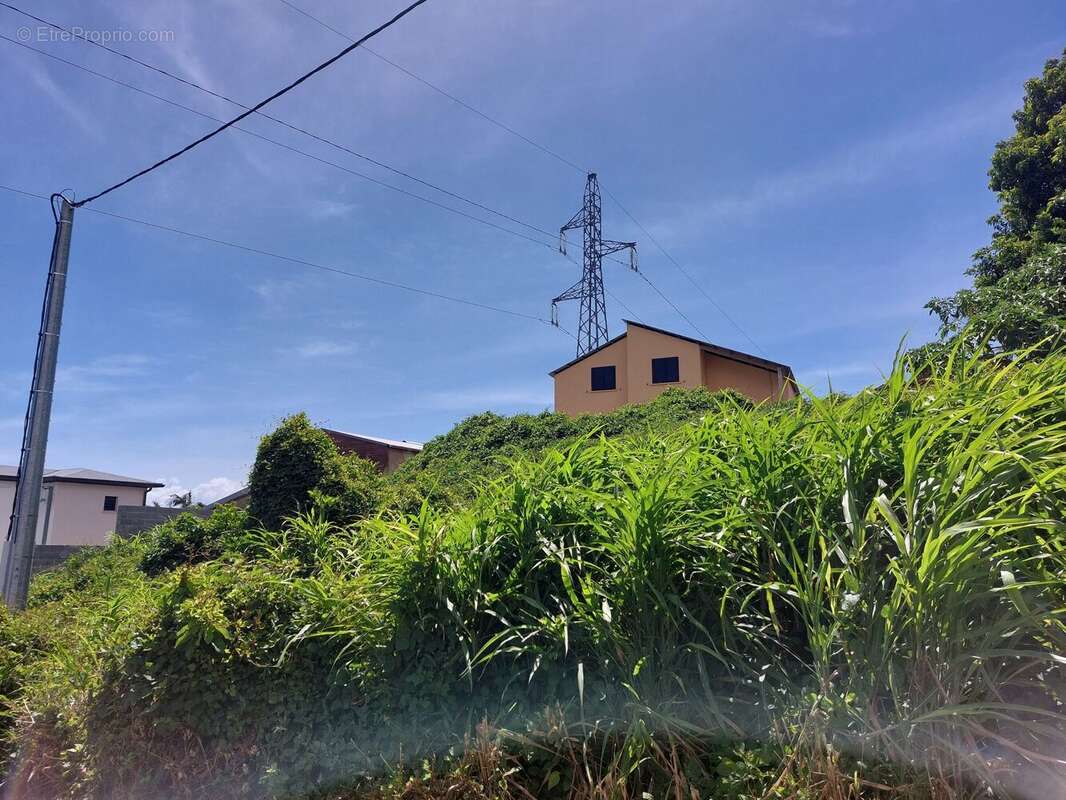 Terrain à SAINT-DENIS