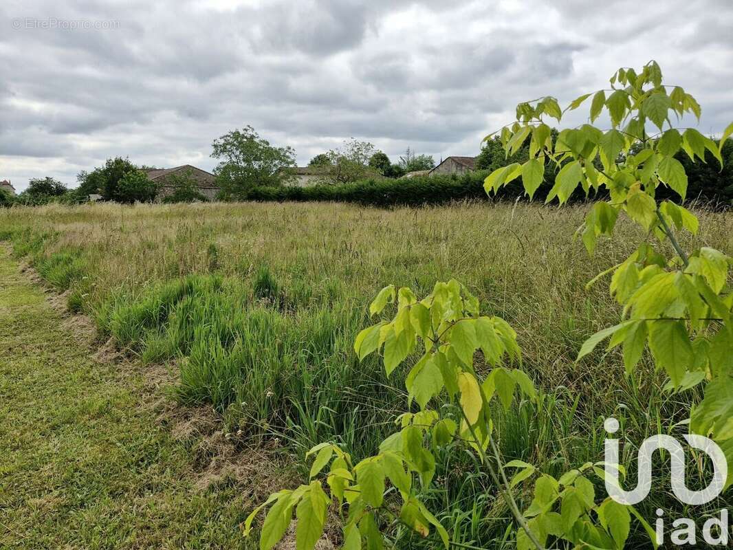 Photo 5 - Maison à LAMOTHE-MONTRAVEL